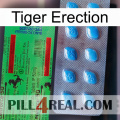 Tiger Erection new03